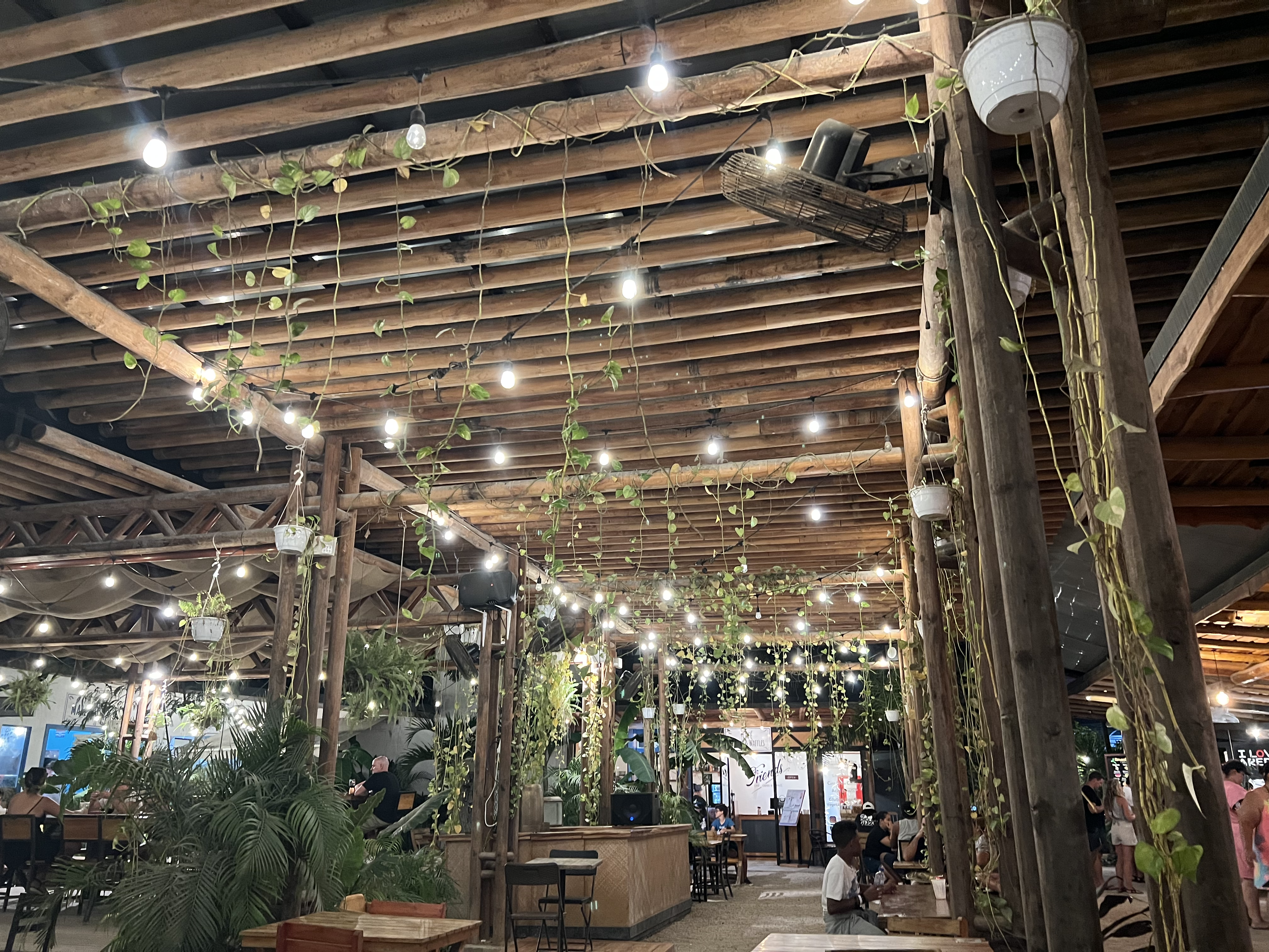 Local restaurant with string lights