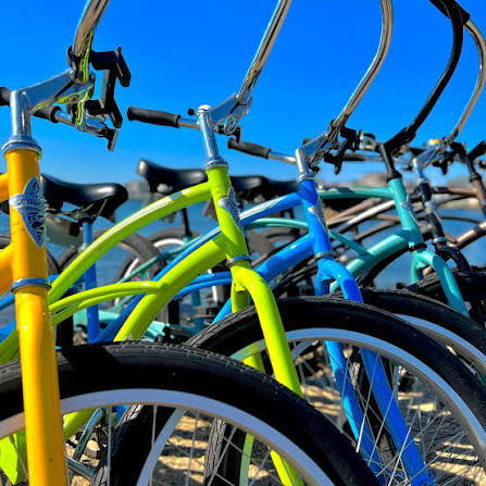 Bike Rentals